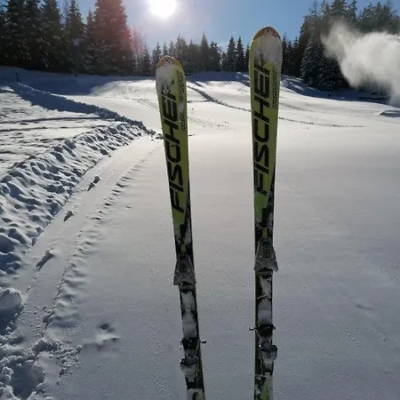 Apartman Ferienappartement Im Ski U Wandergebiet Gerlitzen